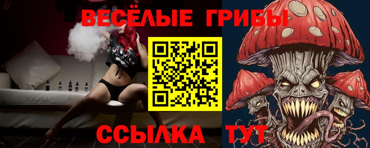 Псилоцибиновые грибы MAGIC MUSHROOMS Кохма