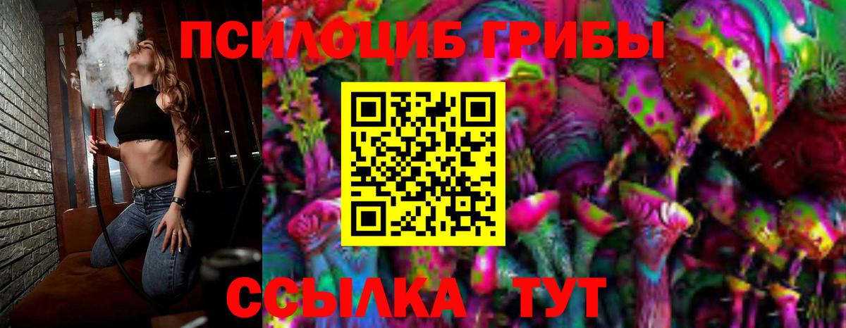 цена наркотик  Вход с VPN  Кохма  Галлюциногенные грибы GOLDEN TEACHER 